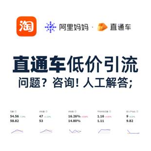 淘宝店铺直通车低价引流问题咨询!代运营托管陪跑关键词出价问题