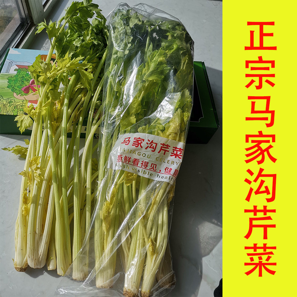 正宗马家沟芹菜山东青岛平度特产大叶黄空心玻璃翠嫰芯新鲜蔬菜