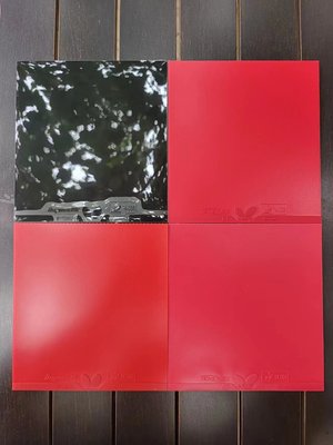 T05D05D80D64D09C特制蝴蝶乒乓球