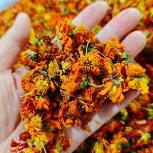 新疆特产和田皮山县克里阳冰菊西域冰菊头茬包邮