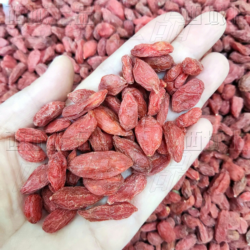 新疆精河特大颗粒枸杞王非宁夏枸杞不加工红枸杞食用农产品散货