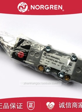 专业SXE9573A8000/***诺冠NuORGREN电磁阀A81/180/00K/13J/19J/18