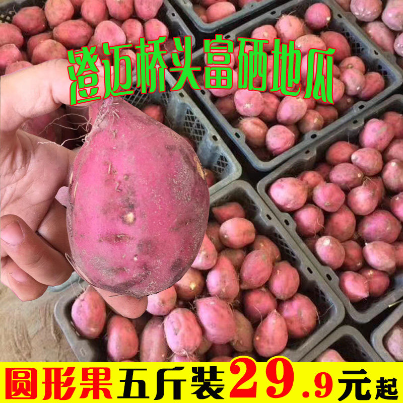 海南澄迈沙地桥头富硒地瓜新鲜红薯农家板栗薯番薯圆形果五斤包邮,水产肉类/新鲜蔬果/熟食,番薯,淘宝优惠券,粉丝福利购,淘宝优惠卷
