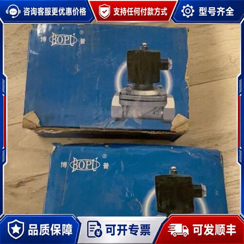 议价博普BOPU电磁阀2W-200-20可维修