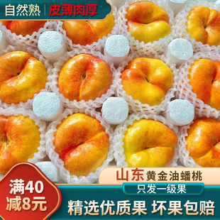 山东黄心桃子油桃黄金油蟠桃水果新鲜应季彩虹蟠桃扁桃整箱包邮