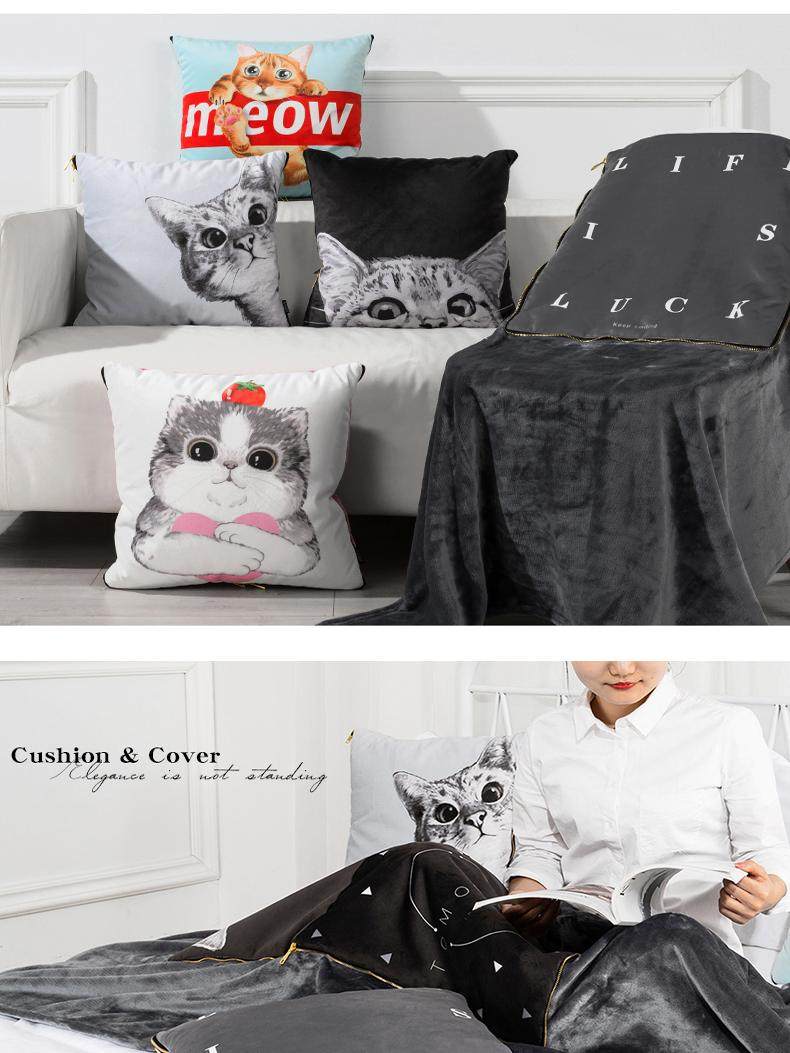 卡通ins抱枕被毯子两用办公室汽车沙发靠枕靠垫空调被加厚多功能