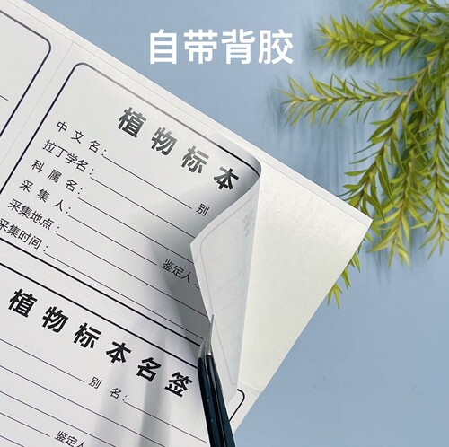 自带背胶专业设计教学使用多材质