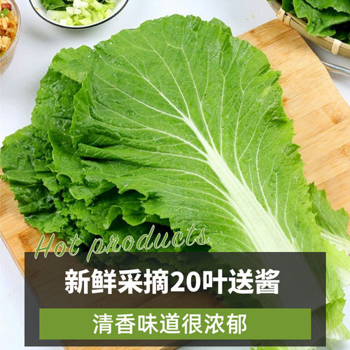 东北新鲜蔬菜饭包白菜叶送酱顺丰