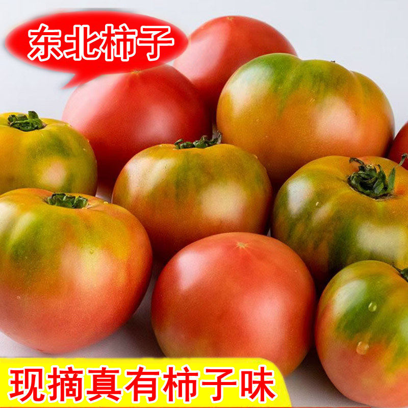 东北铁皮草莓柿子5斤新鲜蔬菜沙瓤自然熟绿腚碱地生吃水果番茄,水产肉类/新鲜蔬果/熟食,番茄,淘宝优惠券,粉丝福利购,淘宝优惠卷