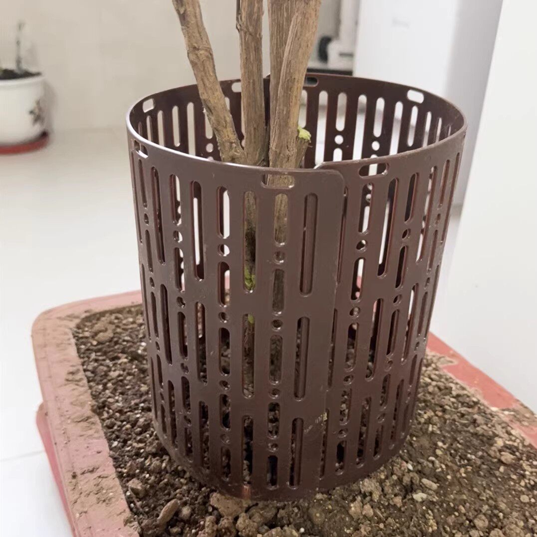 树木保护罩塑料可调节拼接组合植物保护器树皮防护套小树苗保护罩