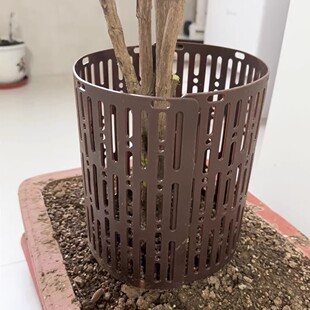 树木保护罩塑料可调节拼接组合植物保护器树皮防护套小树苗保护罩