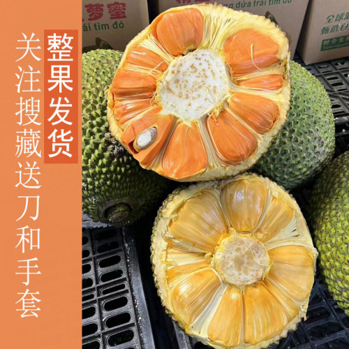 印尼红越南红菠萝蜜红肉送刀手套