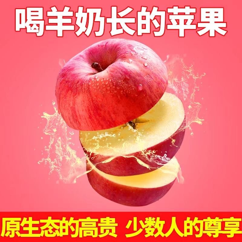 正宗果小北羊奶苹果当季新鲜红富士苹果水果丑苹果一整箱直发包邮,水产肉类/新鲜蔬果/熟食,苹果,淘宝优惠券,粉丝福利购,淘宝优惠卷