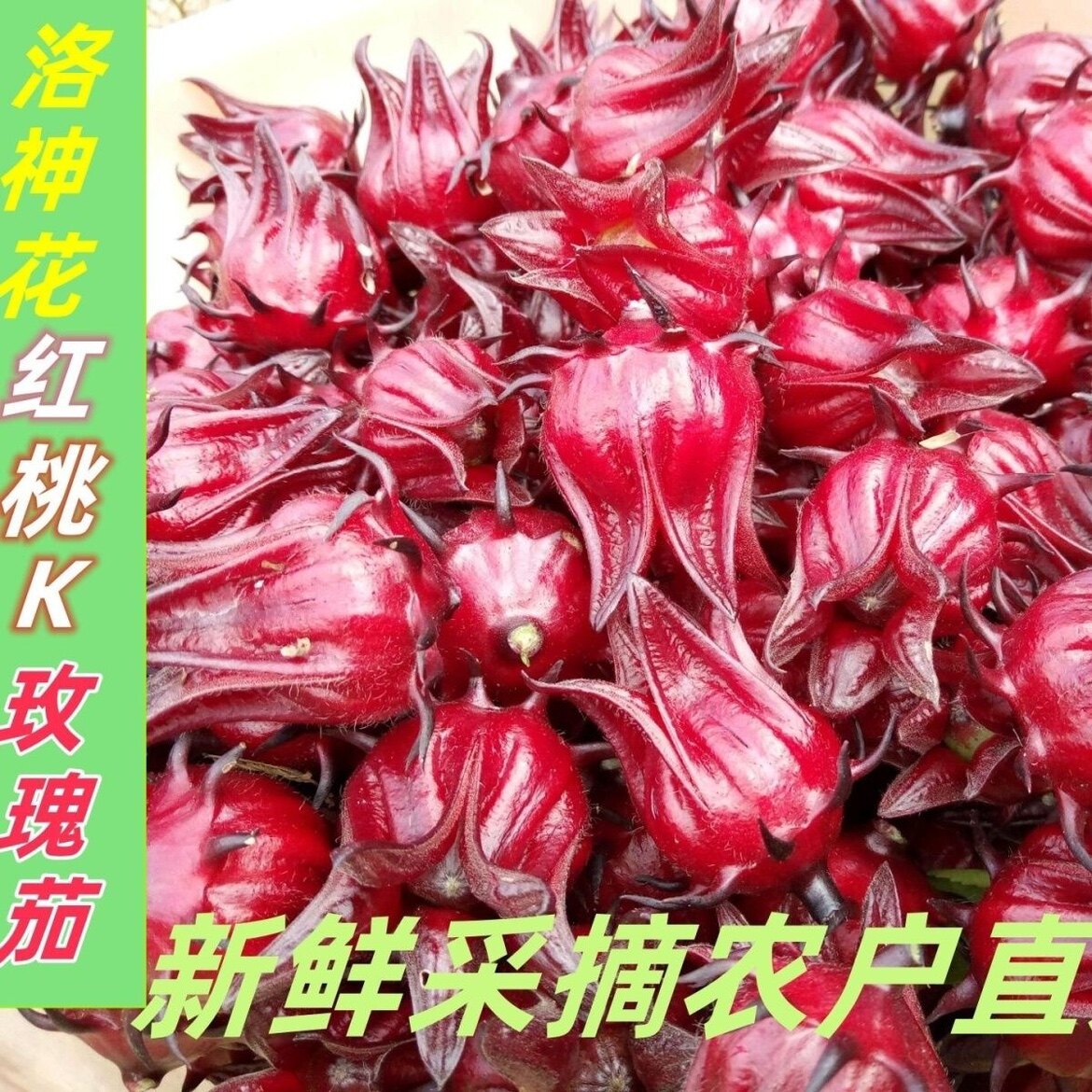 湖南农家新鲜洛神花现摘红桃k鲜果种子泡酒外壳肉泡茶煲汤榨汁喝