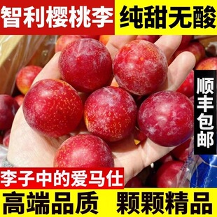 顺丰空运樱桃李智利进口当季孕妇高端水果直发鲜果新鲜李子