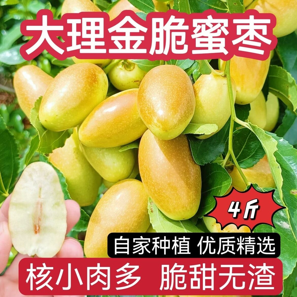 云南大理金脆蜜枣新鲜脆甜枣子现摘应季水果金丝蜜枣