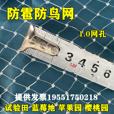 试验田防鸟网1公分网眼防鸟天网农田养殖冰雹网苹果樱桃蓝莓防雹