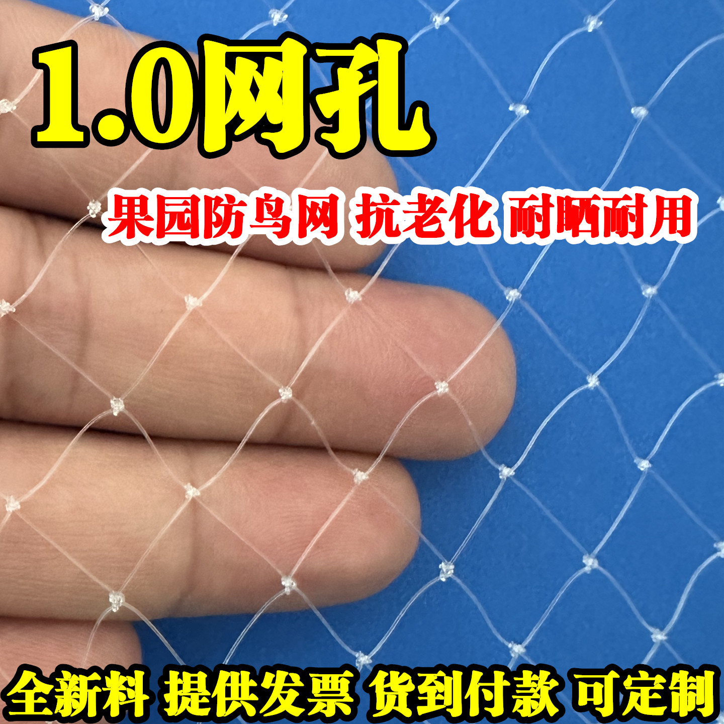 1厘米网眼果树防鸟网果园大棚樱桃防鸟用的网嘉宝果树网防雹网