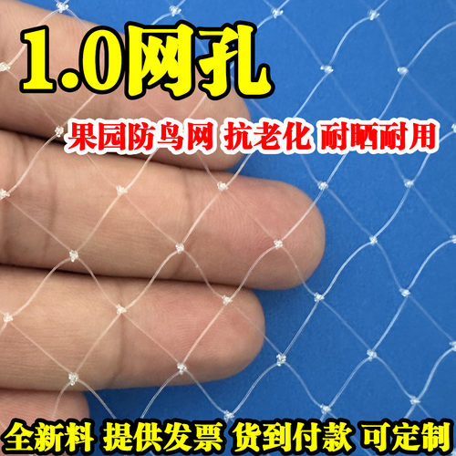 1厘米网眼果树防鸟网果园大棚樱桃防鸟用的网嘉宝果树网防雹网