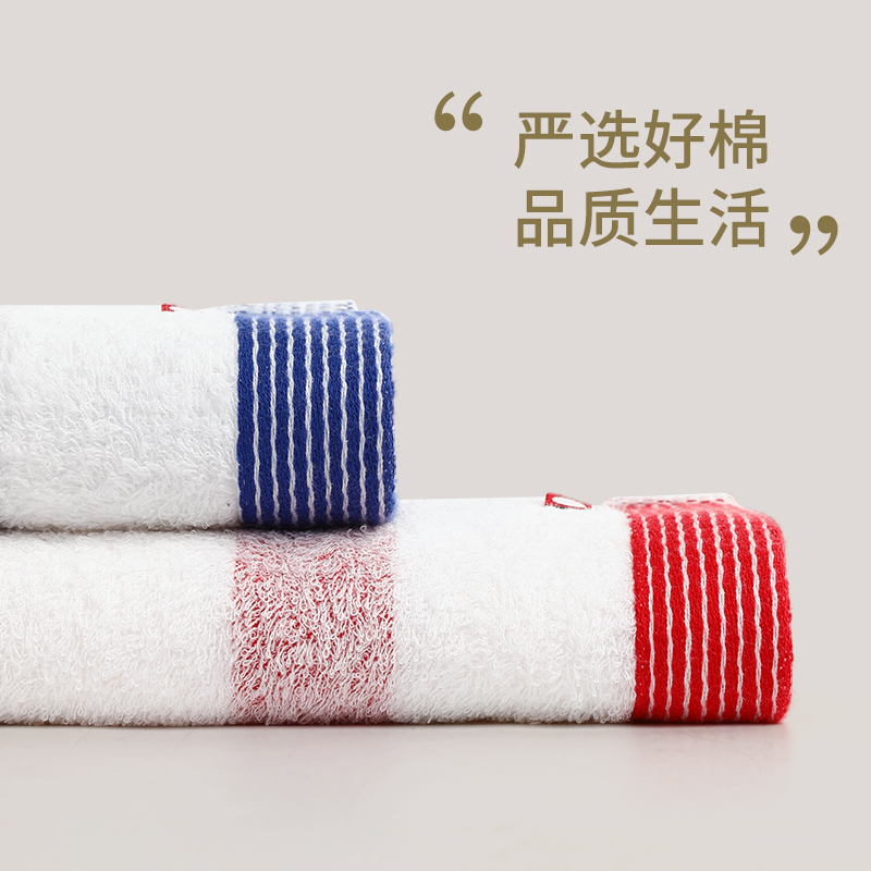 hayashi两条装日本进口今治毛巾情侣条纹纯棉女洗脸家用吸水柔软