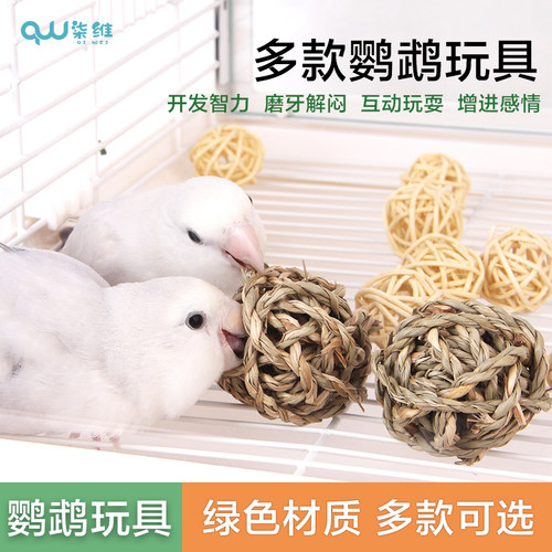 鹦鹉藤球玩具无染色增加乐趣
