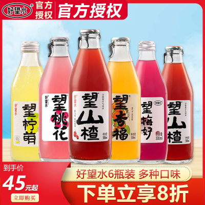 好望水300碳酸饮料气泡果汁