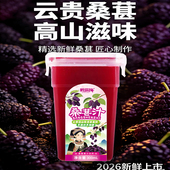 桑葚汁云贵高原桑葚新鲜上市直榨方盒网红款 6盒果蔬汁饮料 300ml