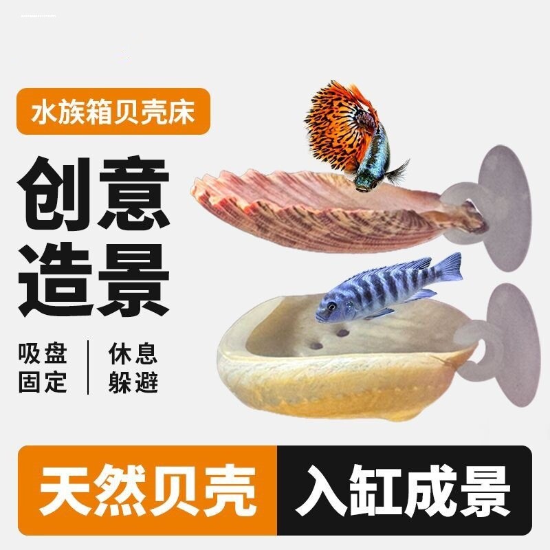 金波子贝壳床宿舍躲避繁殖屋产卵容器鱼缸造景装饰摆件斗鱼休息床 - 实物图