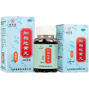 九芝堂知柏地黄丸金装阴虚火旺肾阴虚盗汗口干中药降火的药滋阴
