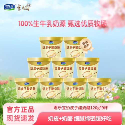 君乐宝奶皮子酸奶酪120g浓香好吃