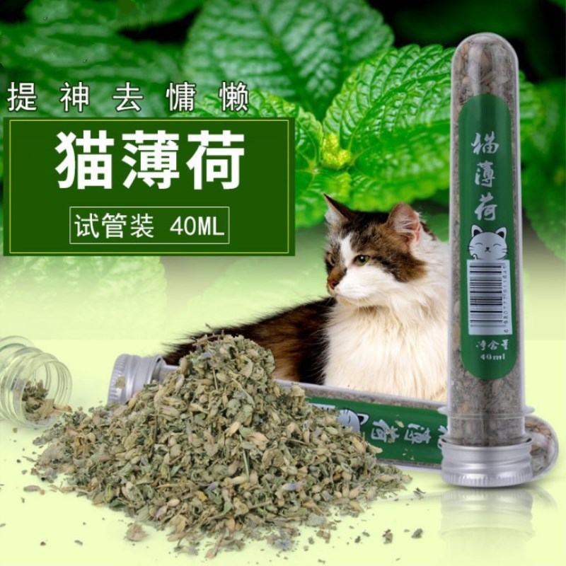 猫薄荷叶粉 40ML试管装猫咪用品薄荷草干叶粉猫薄荷叶子