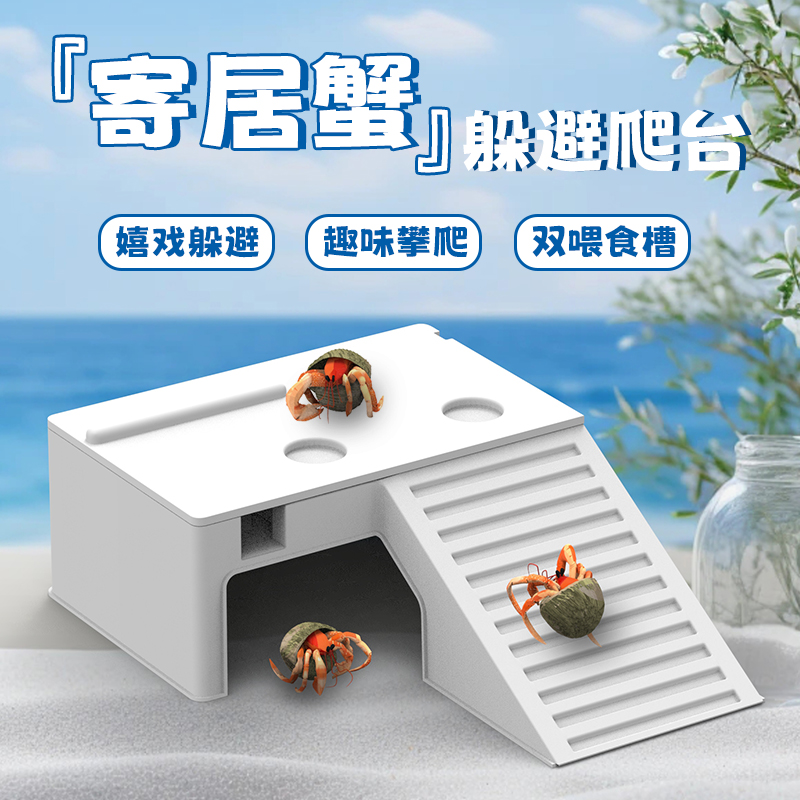 爬宠寄居蟹乌龟晒台躲避