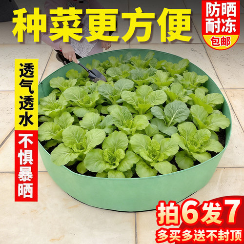 特大楼顶花箱蔬果透气包邮种植袋