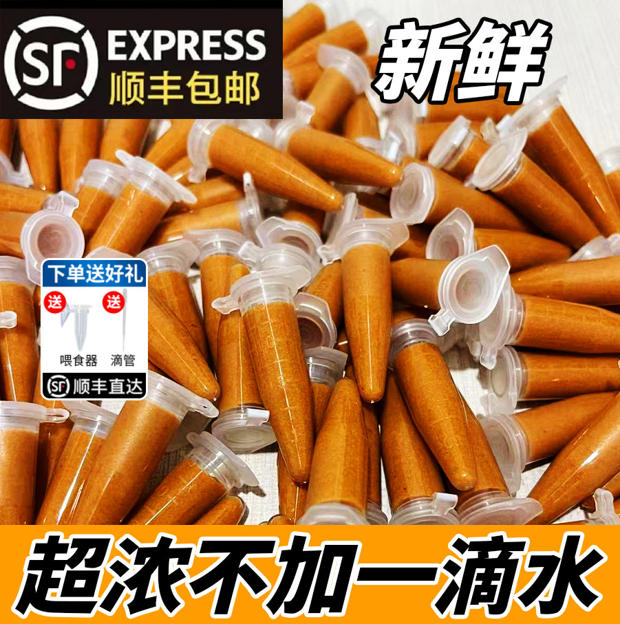 丰年虾幼虫孵化好冷冻冰冻丰年虾卵幼鱼孔雀鱼七彩苗开口活食饲料