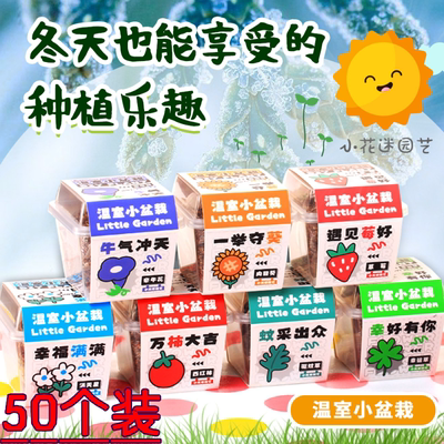 儿童种植盆栽可爱创意学生小礼品