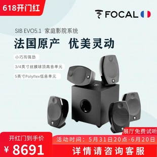 EVO5.1卫星音箱家庭影院音箱电影小卫星箱 Focal 劲浪SIB