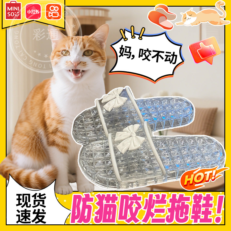 【防猫咬拖鞋】水晶凉拖保护鞋子
