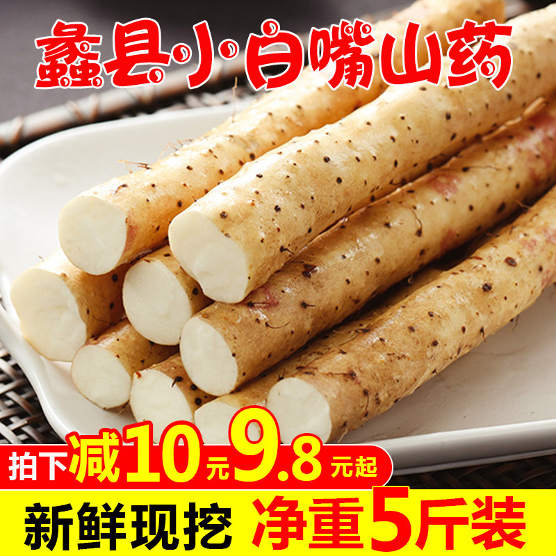 阳光之爱河北蠡县小白嘴山药5斤装粉糯香甜新鲜当季蔬菜整箱包邮在类目 水产肉类/新鲜蔬果/熟食, 新鲜蔬菜/蔬菜制品, 新鲜蔬菜, 新鲜山药中 - 来自Buy2taobao.com提供专业的淘宝代购服务