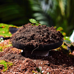 养花营养土专用泥炭土基质颗粒多肉种菜盆栽家用透气园艺土壤花土