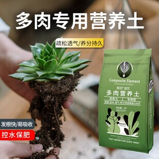 多肉营养土专用泥炭土基质颗粒养花种菜盆栽家用透气园艺土壤花土