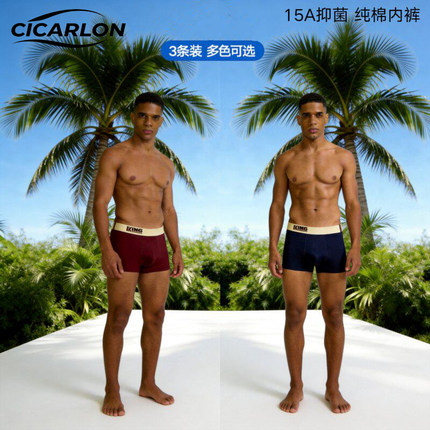 CICARLON男士内裤纯棉男生2026新款抗四角运动透气青少年高中生