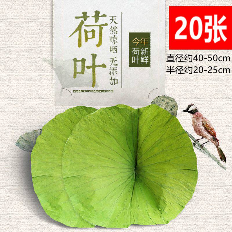 新鲜荷叶整张煮粥泡茶糯米鸡蒸肉