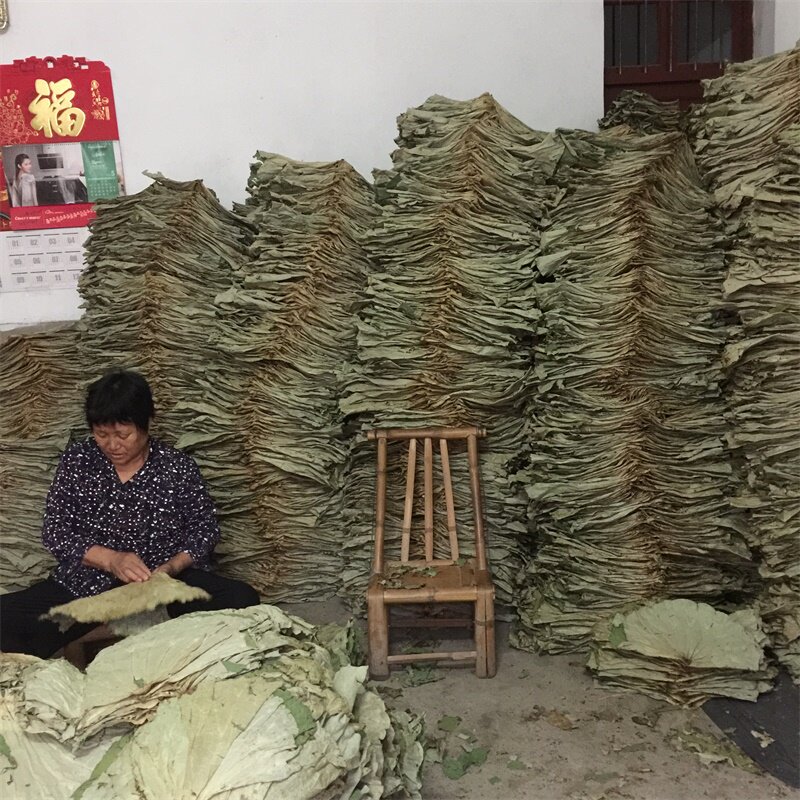 新鲜荷叶整张荷叶粥叫花鸡糯米鸡专用荷叶茶蒸笼纸商用干荷叶50斤