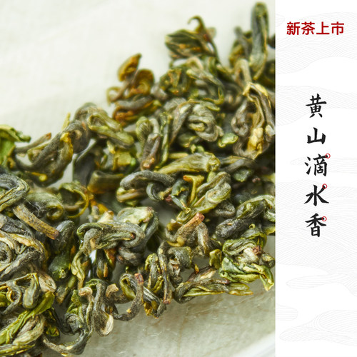歙县正宗高山绿茶特级黄山滴水香