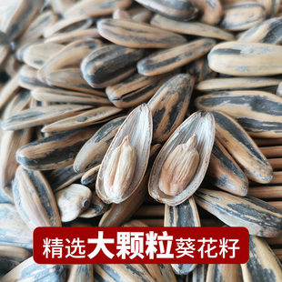 新货传统手工蔚县五香葵花籽水煮瓜子大颗粒五香咸口不加蔗糖散装