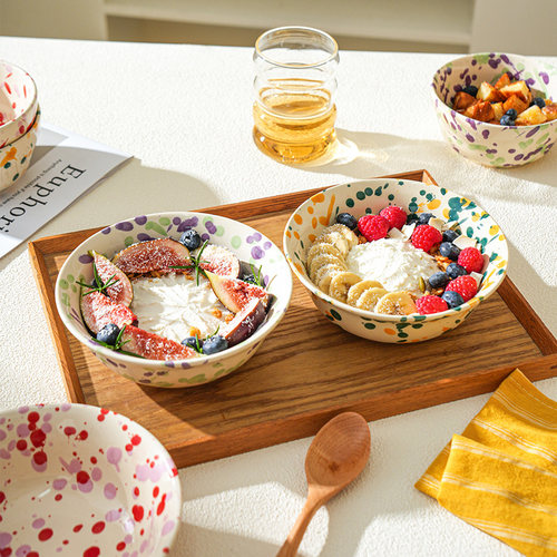 舍里燕麦酸奶碗水果碗烤碗早餐碗