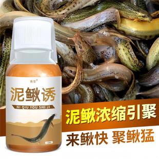 鱼饵料窝料钓鱼小药泥鳅诱饵料添加剂网笼泥鳅龙虾黄鳝黑鱼泡诱饵