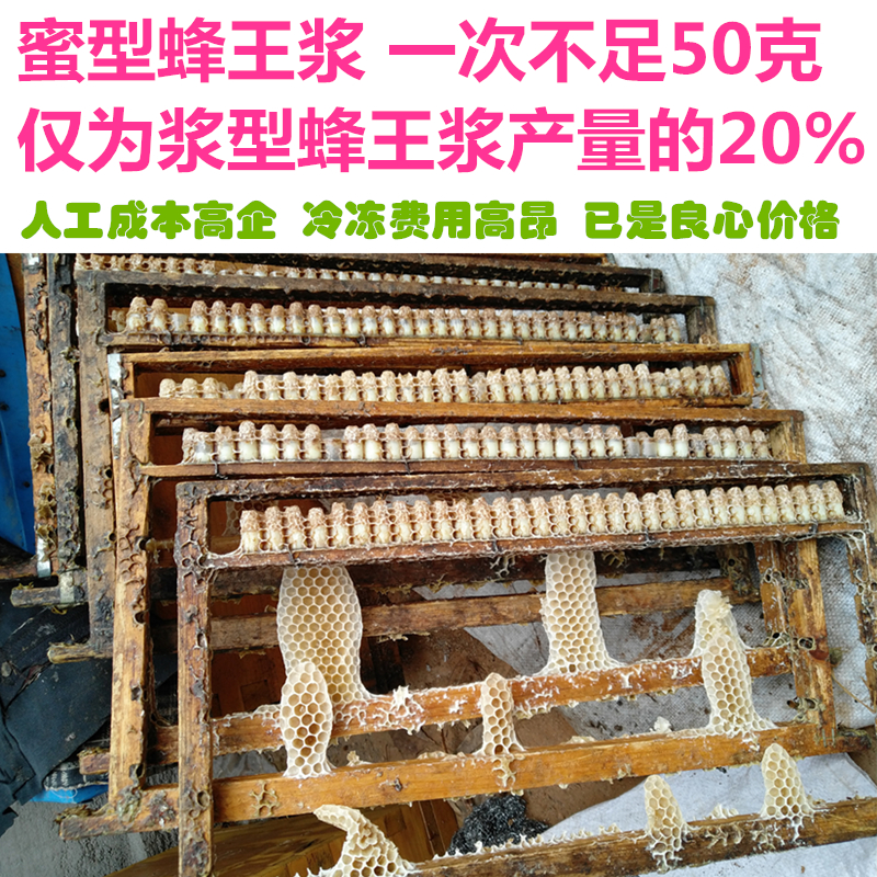 黑蜂王浆春浆低产高葵烯酸 刘长坤30年500箱蜂场自产高活性蜂皇浆