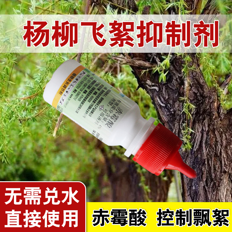 飞絮抑制剂杨絮杨棉飞飘絮柳树棉絮注射剂赤霉酸植物生长调节剂