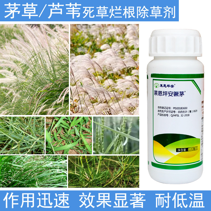 莱恩坪安镢茅除草剂苗木苜蓿空地除狗牙根牛筋草芦苇白茅草烂根药